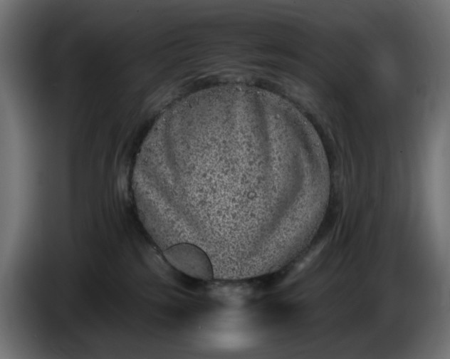X0000087420185200705041315
