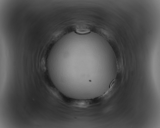 X0000087420187200705041315