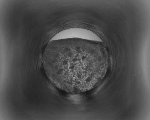 X0000087420189200705041315