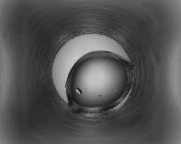 X0000087420190200705041315
