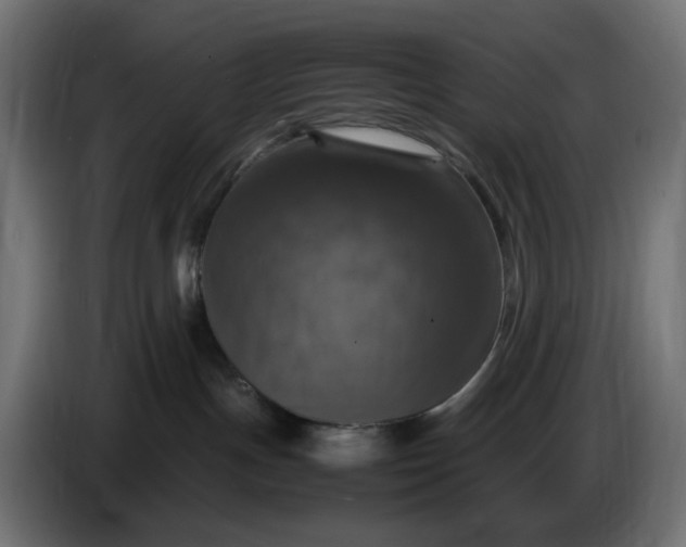 X0000087420191200705041315