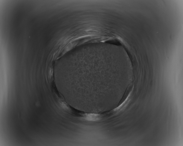X0000087420192200705041315