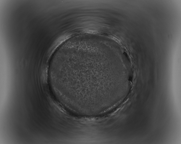 X0000087420194200705041314