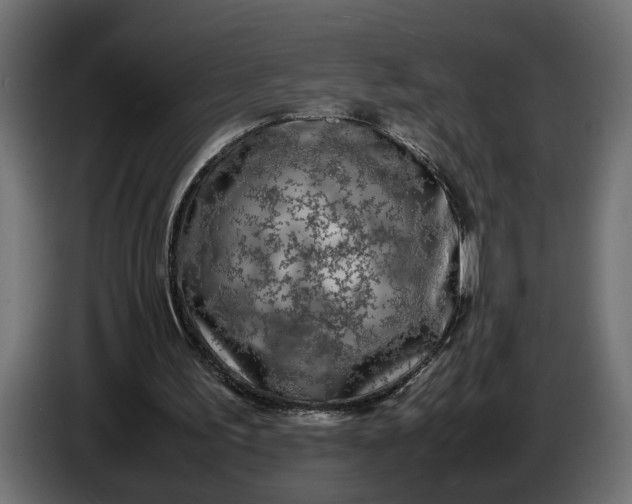 X0000087420195200705041314