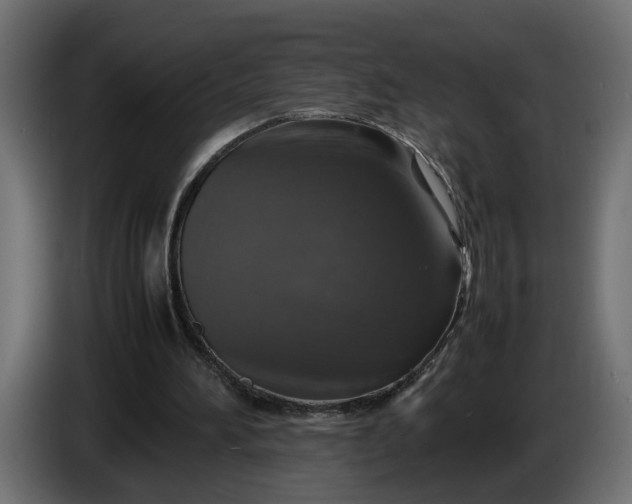 X0000087420196200705041314