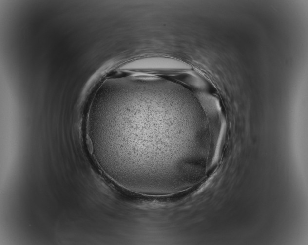X0000087420197200705041314