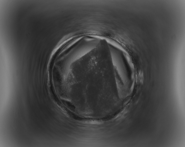 X0000087420198200705041314