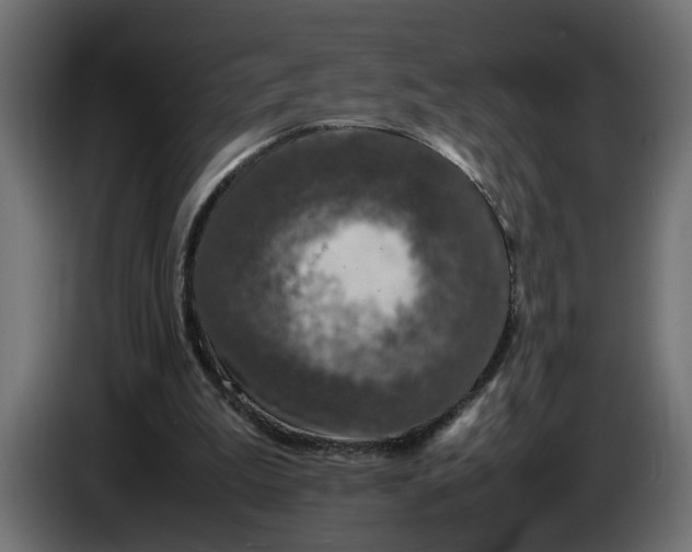 X0000087420199200705041314