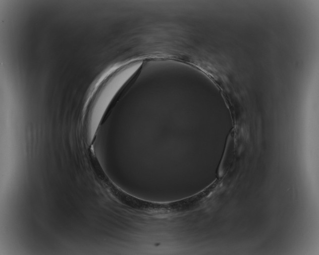 X0000087420200200705041314