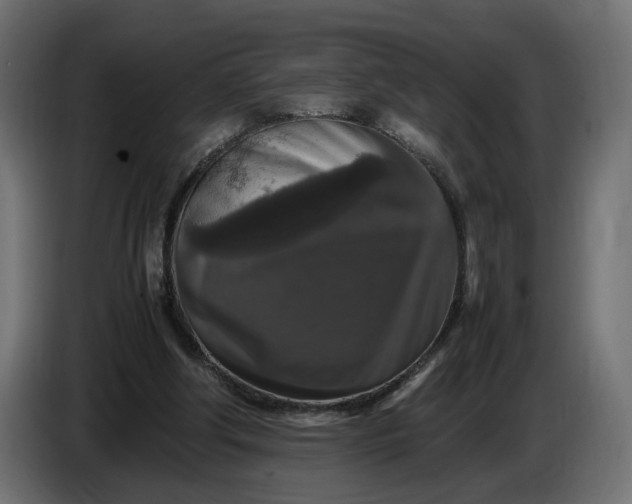 X0000087420202200705041314