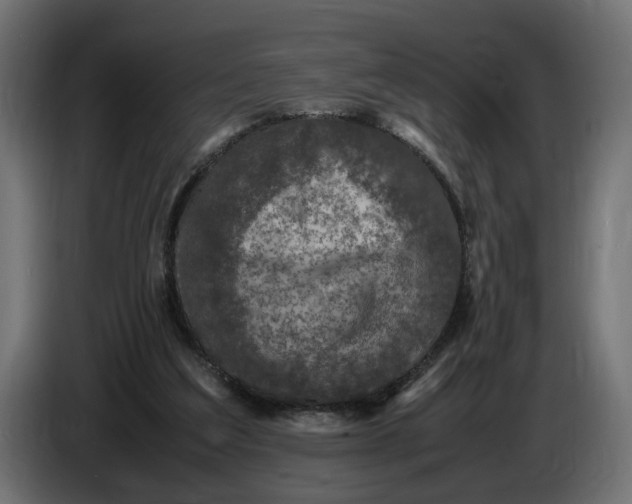X0000087420203200705041314
