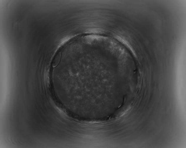 X0000087420204200705041314