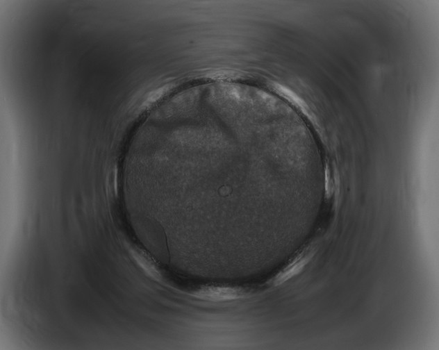 X0000087420205200705041314