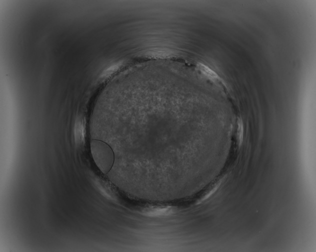 X0000087420206200705041314