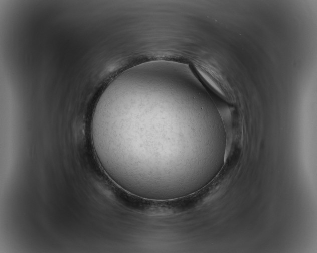 X0000087420207200705041314