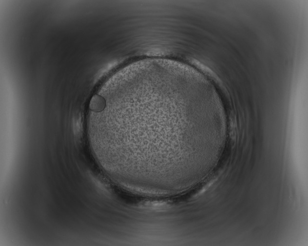 X0000087420208200705041314