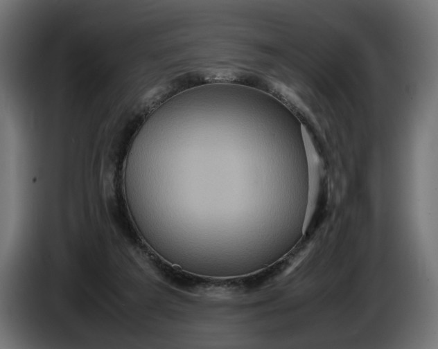 X0000087420209200705041314