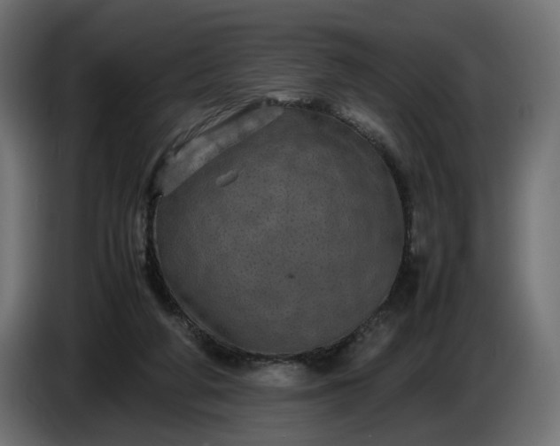 X0000087420210200705041314