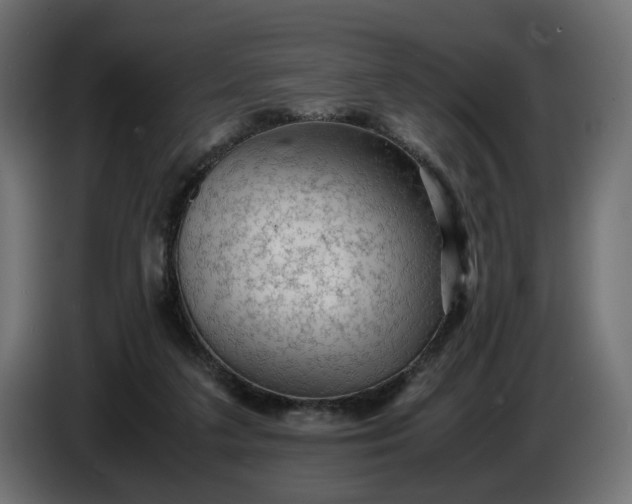 X0000087420211200705041314