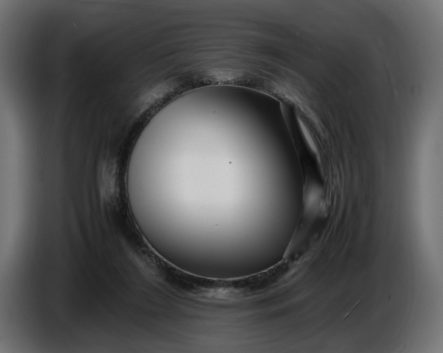 X0000087420212200705041314
