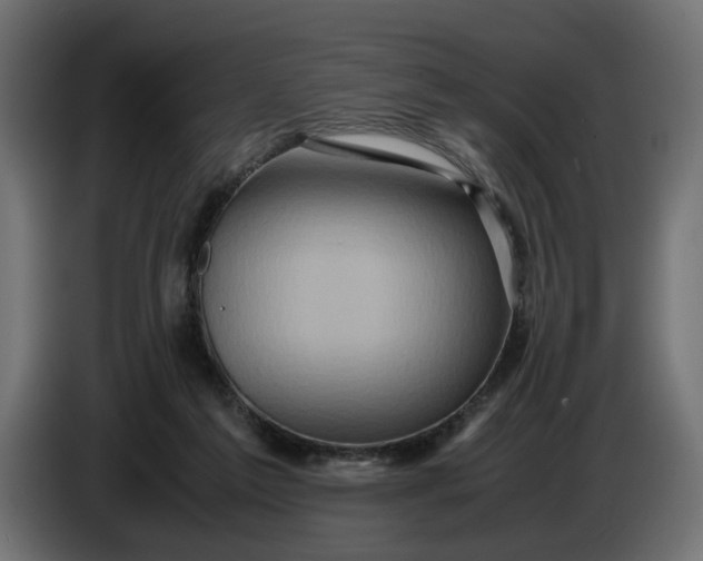 X0000087420213200705041314