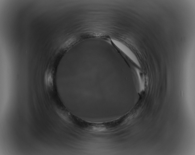 X0000087420214200705041314