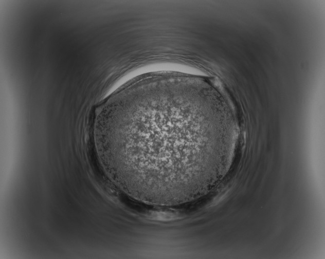 X0000087420215200705041314