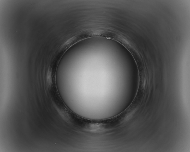 X0000087420216200705041314