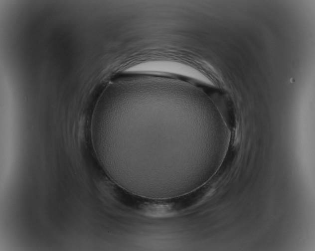 X0000087420217200705041314