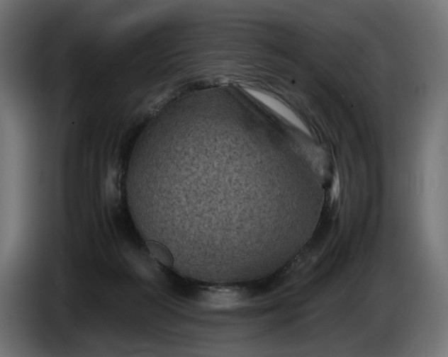 X0000087420218200705041314