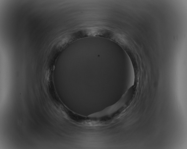 X0000087420219200705041314
