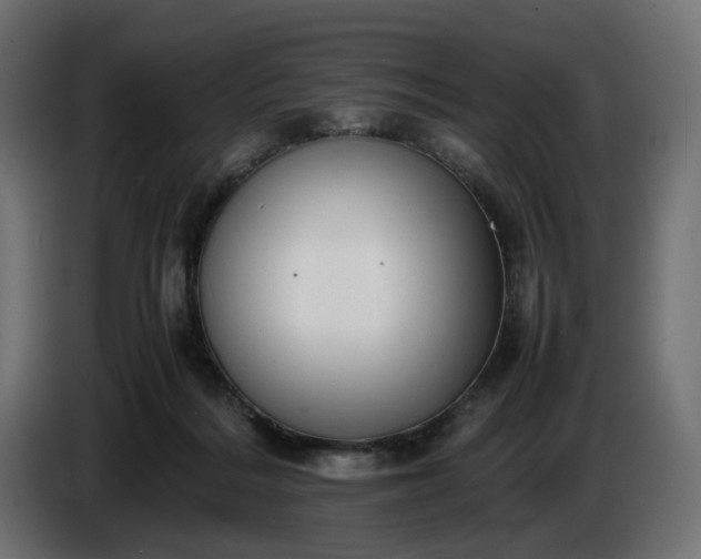 X0000087420220200705041314