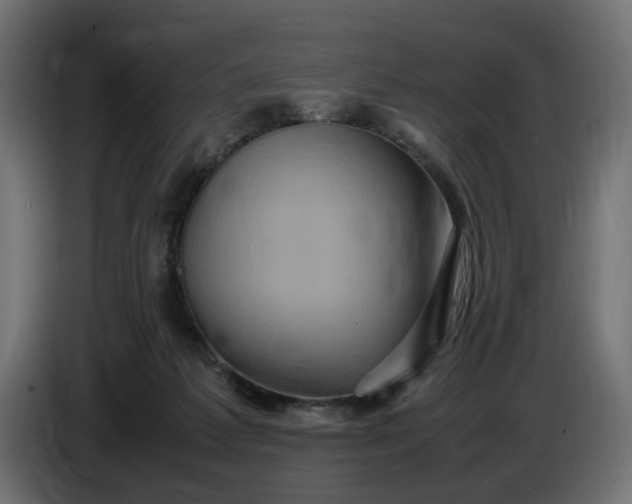 X0000087420221200705041314