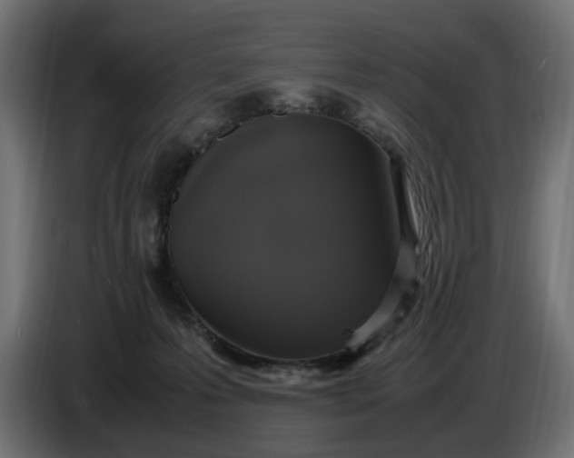X0000087420223200705041314