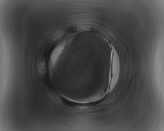 X0000087420224200705041314