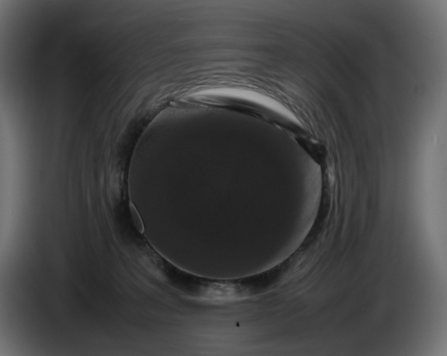 X0000087420227200705041314