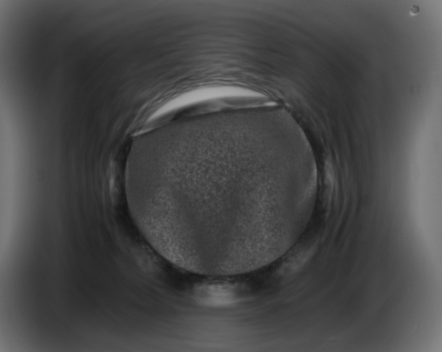 X0000087420228200705041314