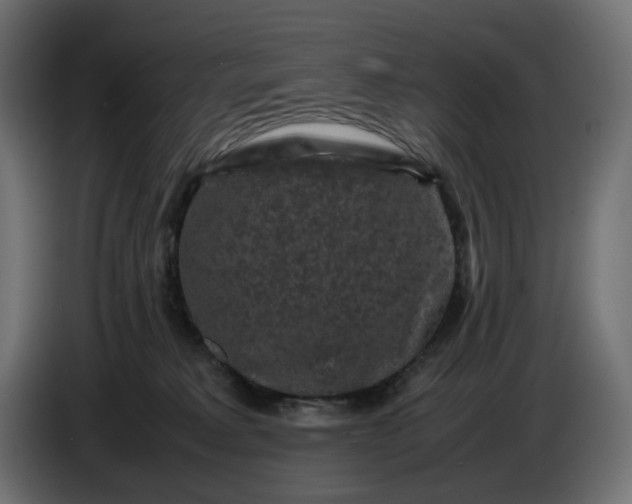 X0000087420229200705041314