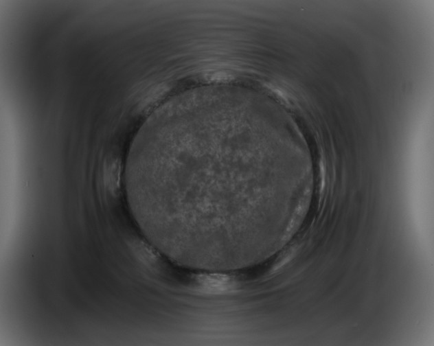 X0000087420230200705041314