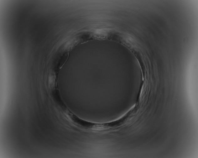 X0000087420231200705041314