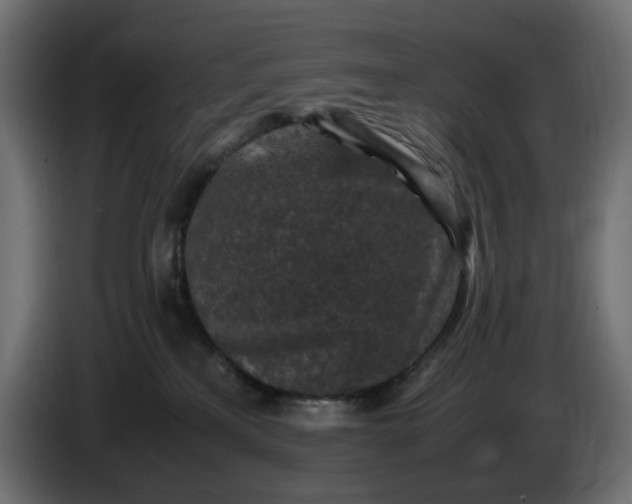 X0000087420233200705041314