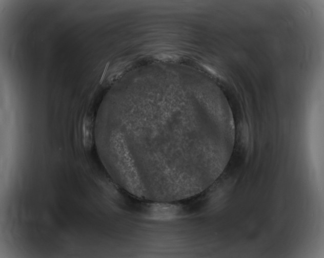 X0000087420234200705041314