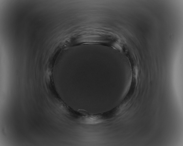 X0000087420235200705041314