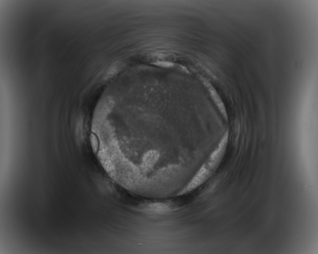 X0000087420236200705041314