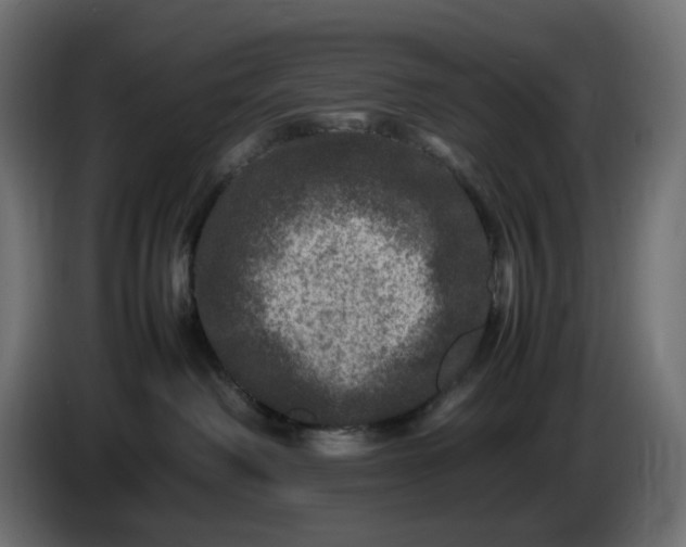 X0000087420238200705041314