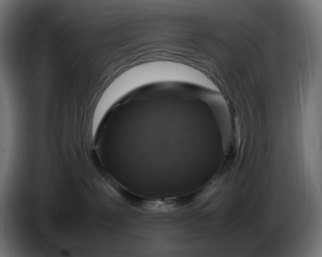 X0000087420239200705041314