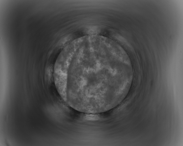 X0000087420240200705041314