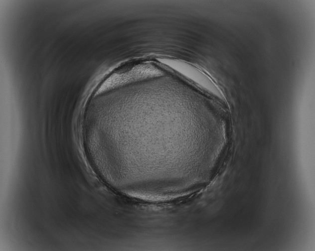 X0000087420241200705041313
