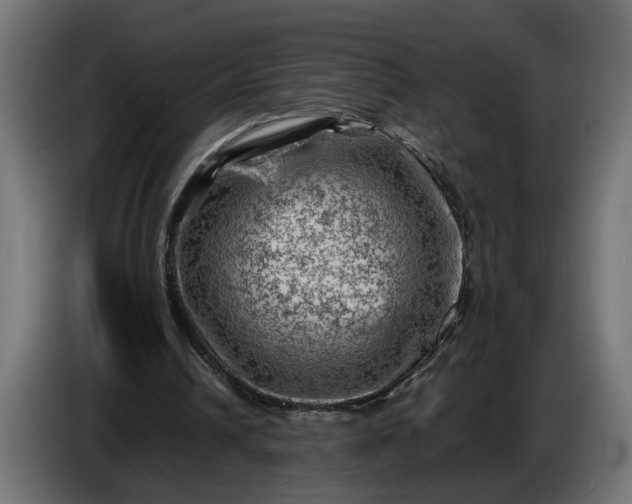 X0000087420242200705041313