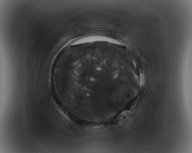 X0000087420243200705041313